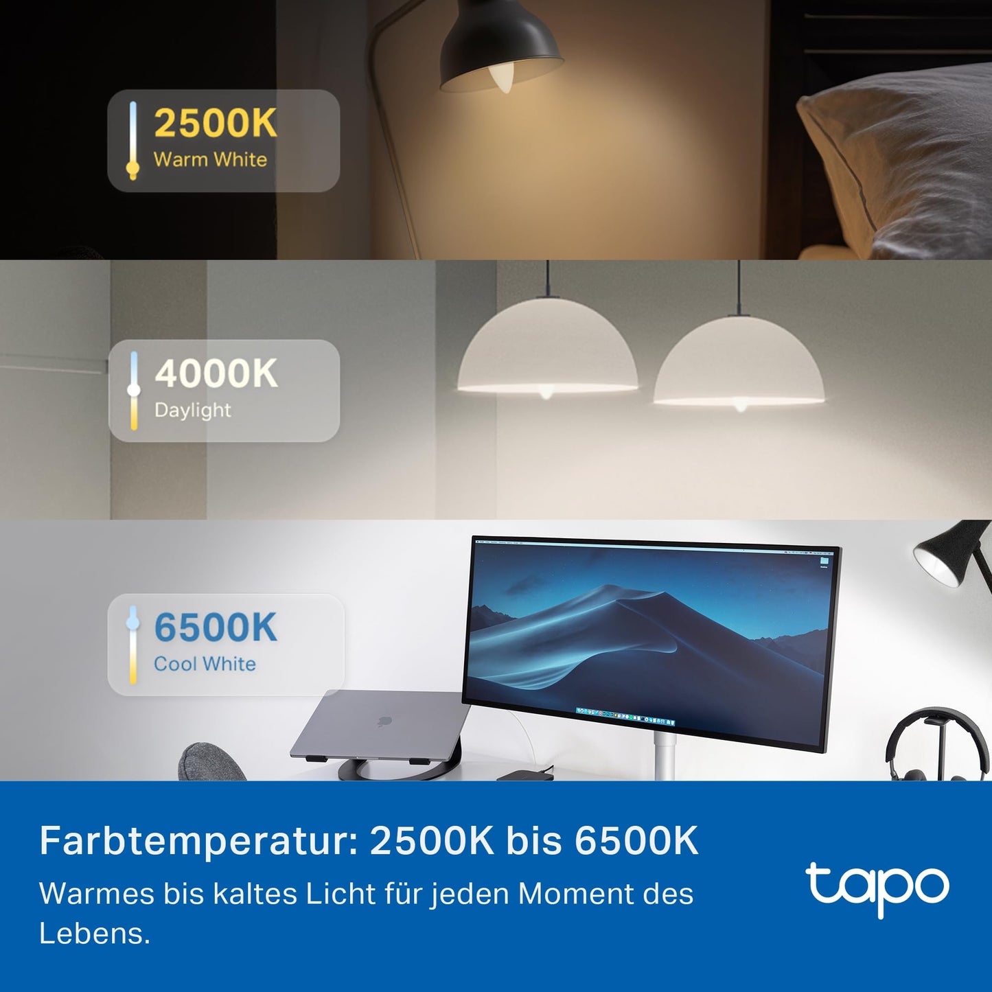 Tapo L430C(4-pack) Smarte WLAN Glühbirne E14, 470 Lumen, 16 Mio. Farben, dimmbar, Zeitplan & Timer, Energieüberwachung, Kompatibel mit Alexa, Google Assistant und Samsung SmartThings